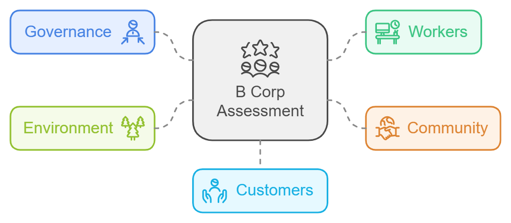 5 Pillars of a B Corp Assessment
