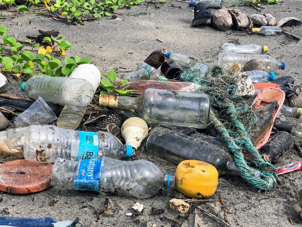 Plastic Water Bottles in Dirt