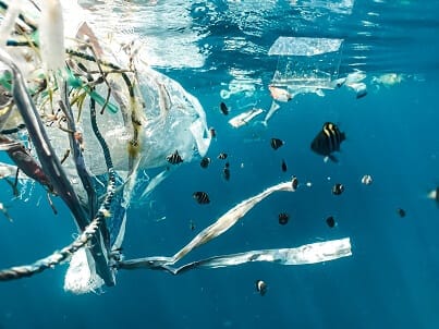 Ocean Garbage - Single use plastics