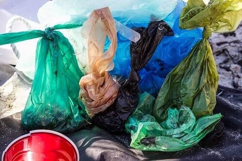 Single-Use Plastic Bags