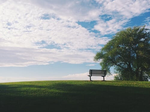 Empty Field