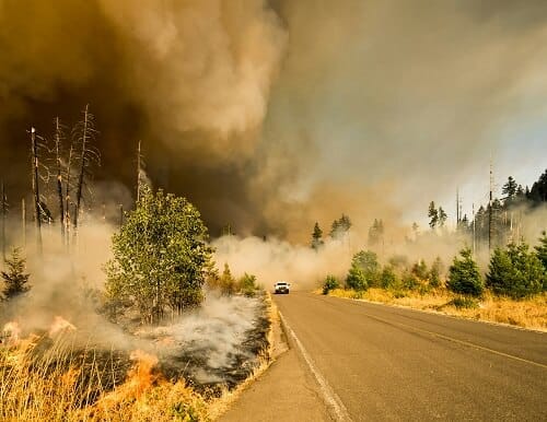 Wildfire Smoke