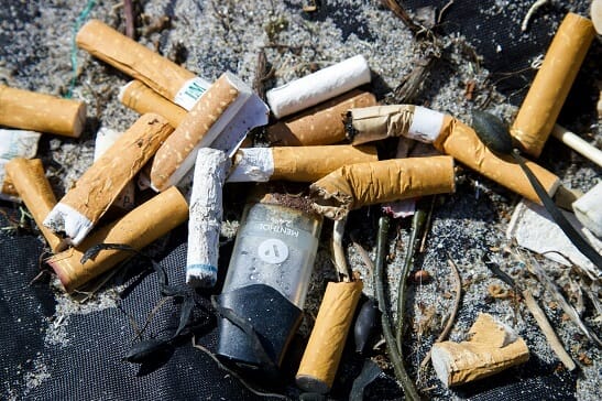 Discarded Cigarette Butts
