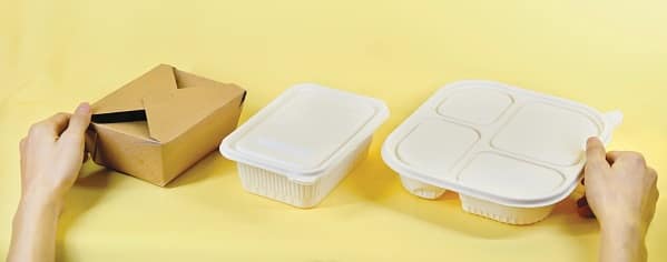 Alternatives to Styrofoam Packaging