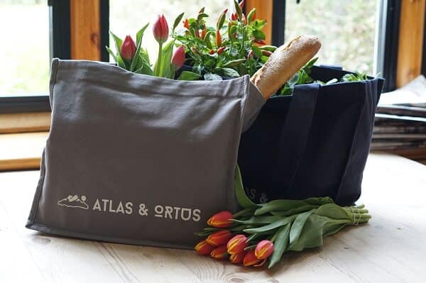 Resuseable Grocery Bag