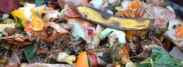 Composting food waste