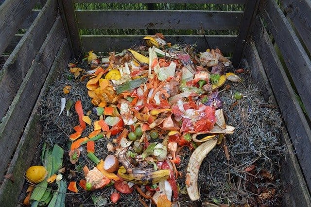 Food waste and garden clippings layered in a composter