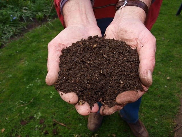 Nutrient Rich Compost Material in Hands