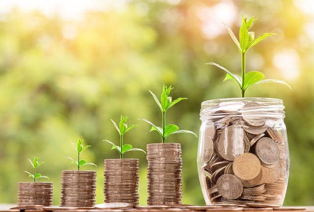 Money Jars with Plant Grwoing Inside