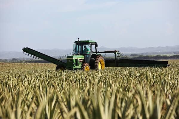 Combine harvesting 