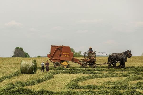 Traditional Farming