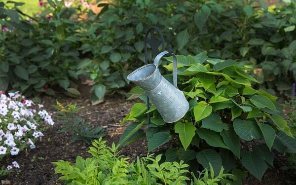 how to start no-till gardening - location