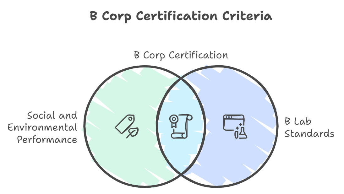 B Corp Certification Criteria