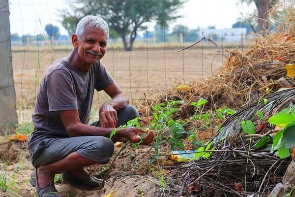 how to start no-till gardening