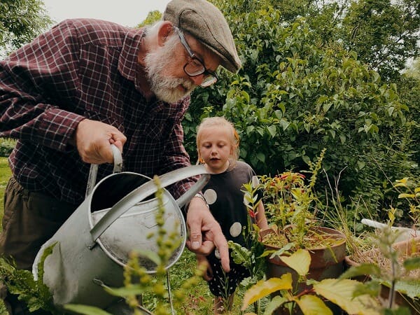 how to start a -no-till garden - watering